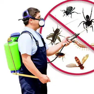 pest control Sanbornville